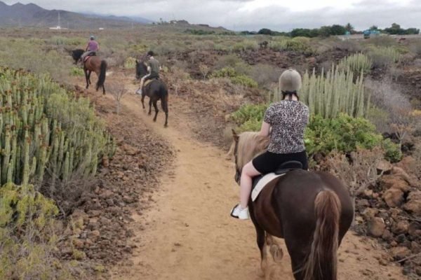 equitación tenerife