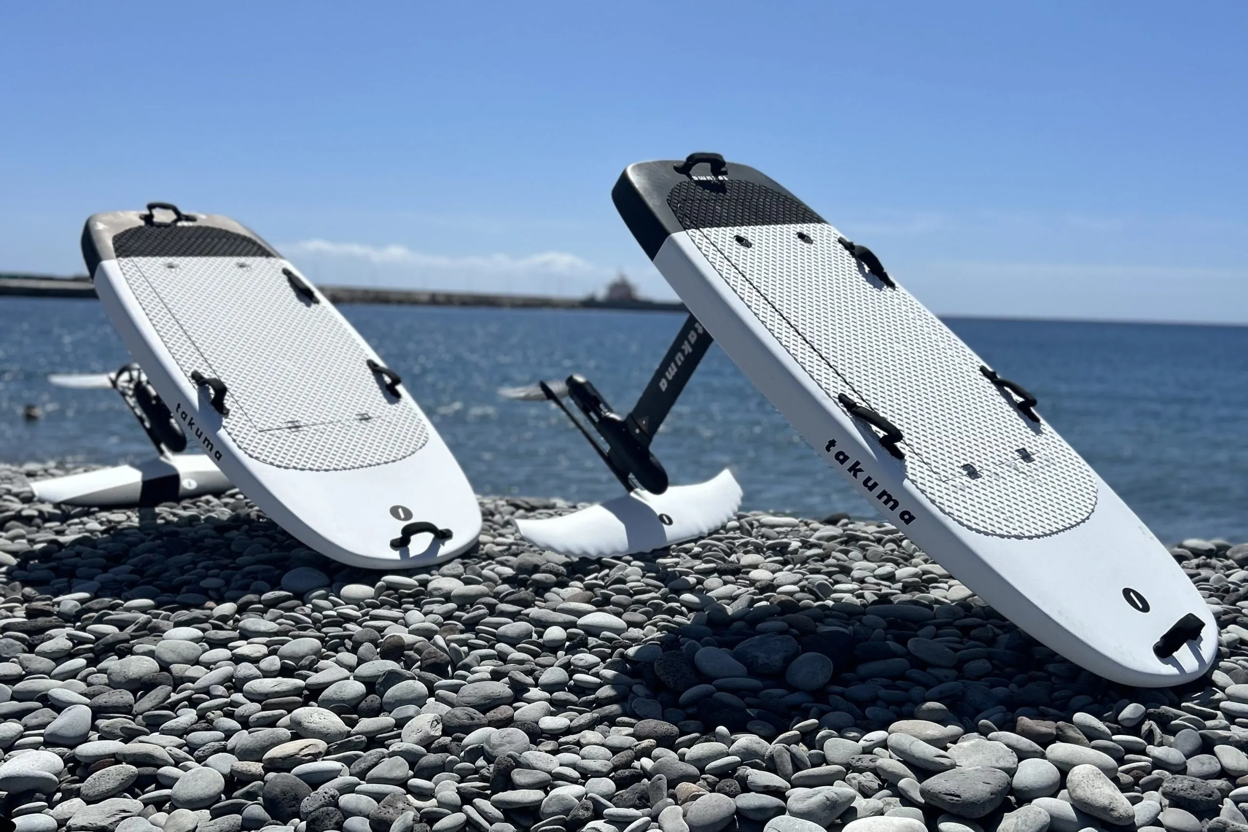 Read more about the article E-SURF