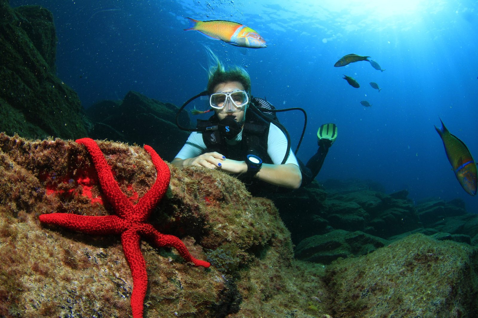 Scopri di più sull'articolo SCUBA DIVING - LOS CRISTIANOS