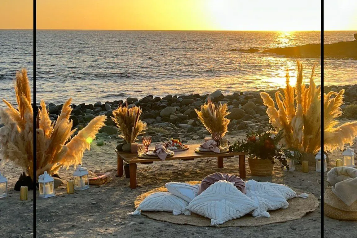 Read more about the article LUXURY PICNIC