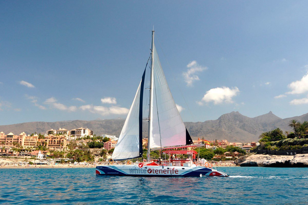 Mehr über den Artikel erfahren PRIVATE ECO CATAMARAN TOUR