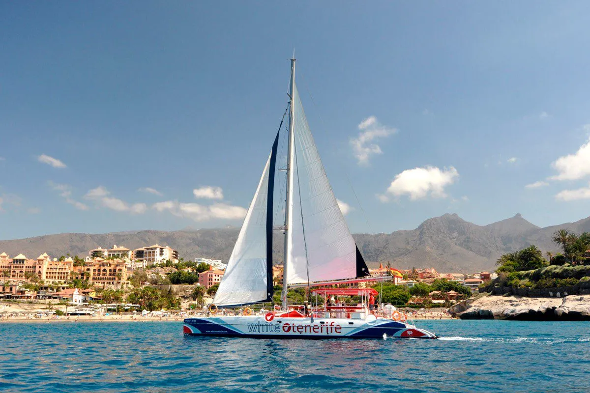 Read more about the article PRIVATE ECO CATAMARAN TOUR