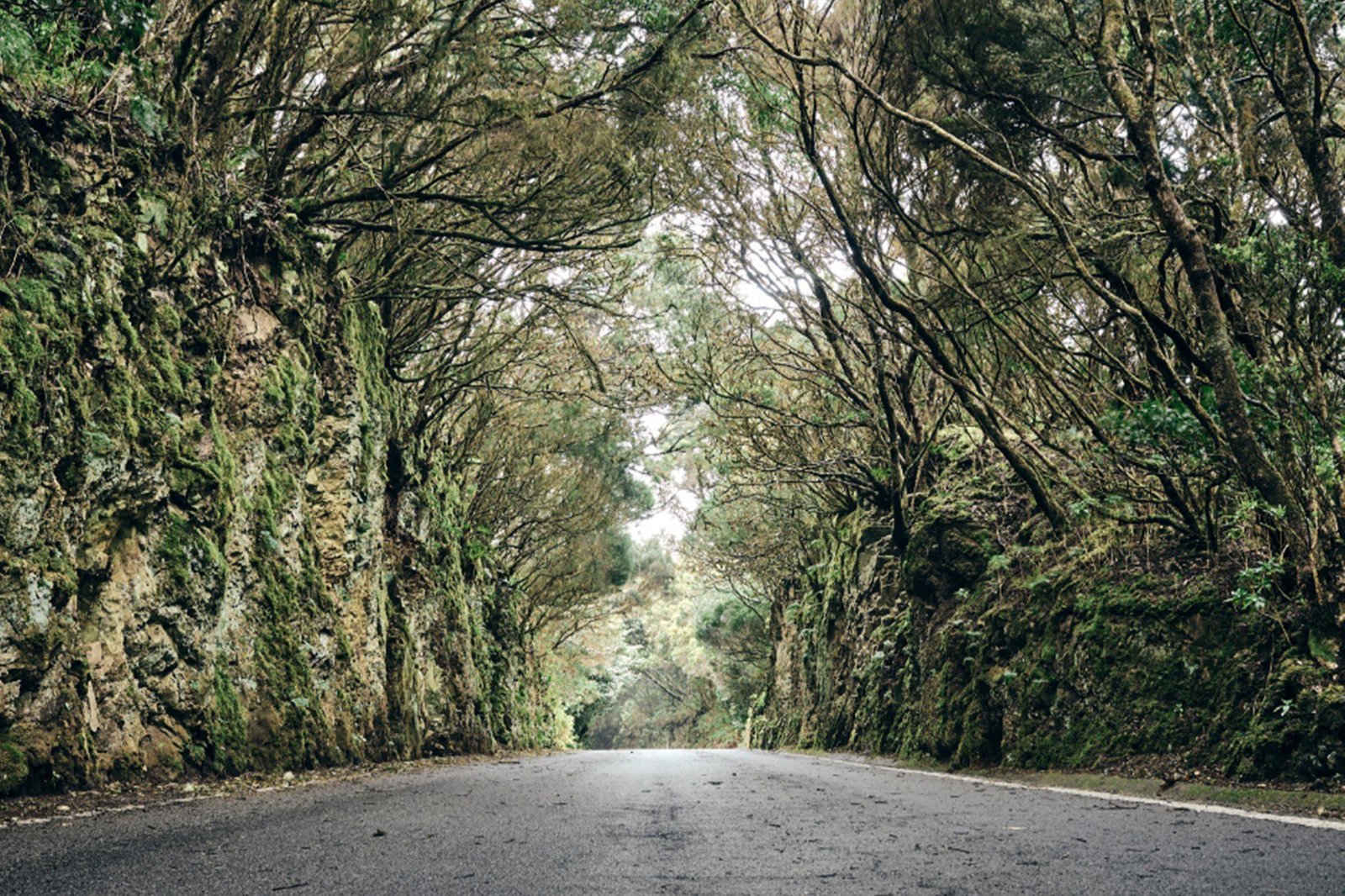 Scopri di più sull'articolo PRIVATE ANAGA TOUR