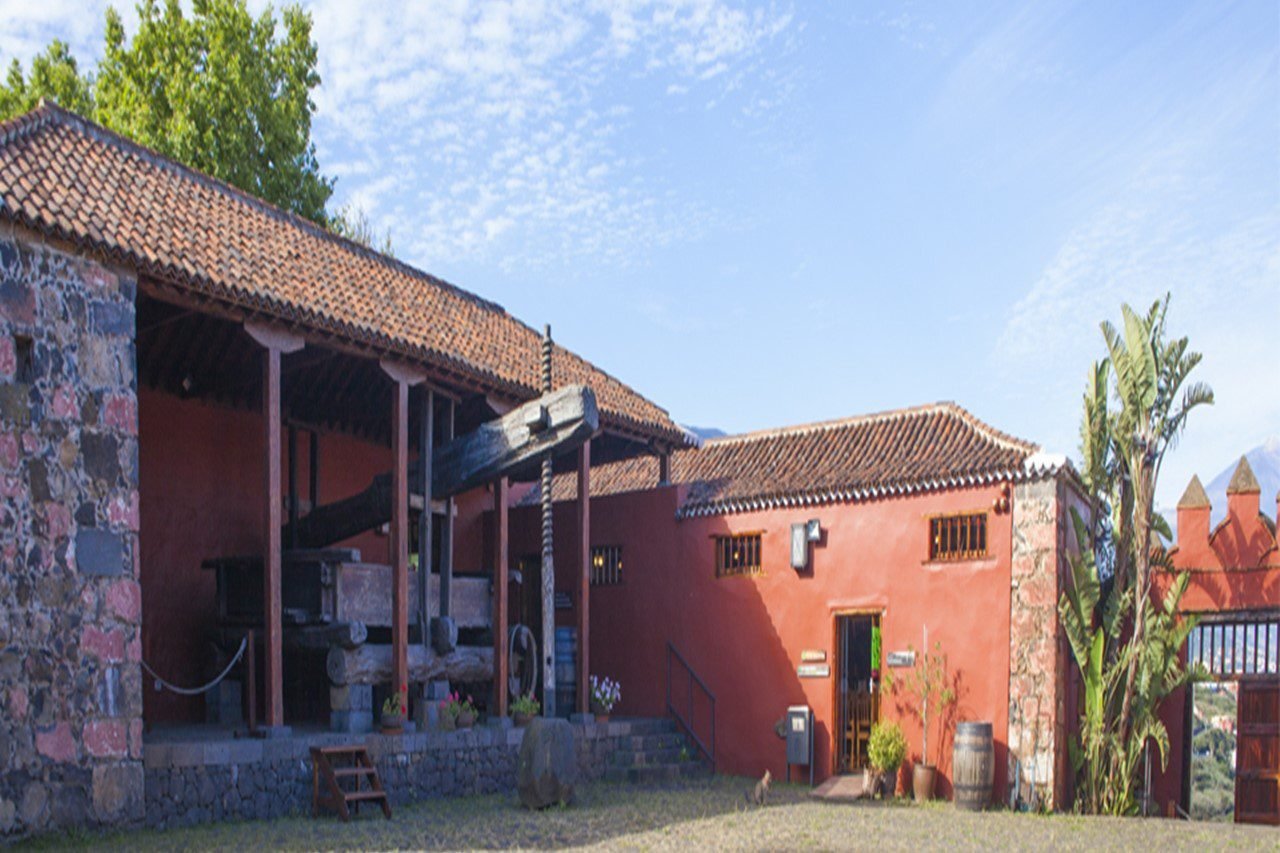 Scopri di più sull'articolo TOUR PRIVATO DI VINO E GASTRONOMIA