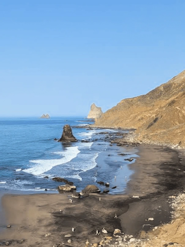 Read more about the article PLAYA DE BENIJO