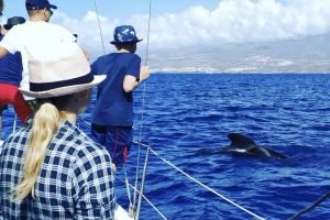 15/07 ore 9:30 - Tour di 3 ore in barca a vela - 4 adulti + 1 bambina