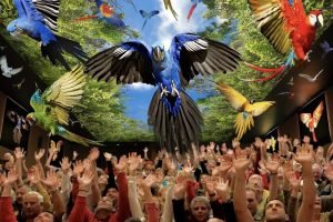 18/07 Loro Parque - 4 Erwachsene + 1 Kleinkind