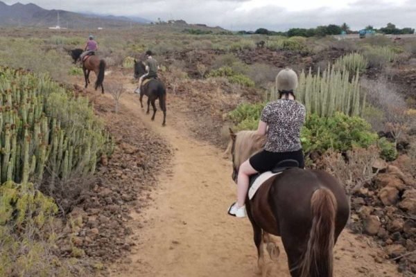 horse riding tenerife