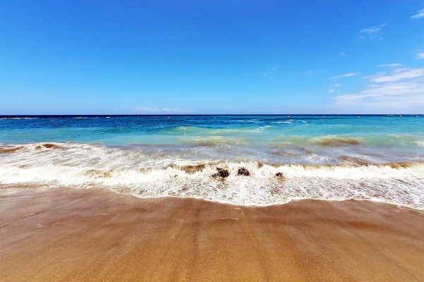 nabila experience info tips tenerife beaches live webcams